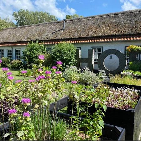 Hof Aan Zee Villa Dishoek Exterior foto